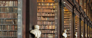 Structuring data to work more efficiently: the benefits of ERP